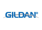 Gildan Icon